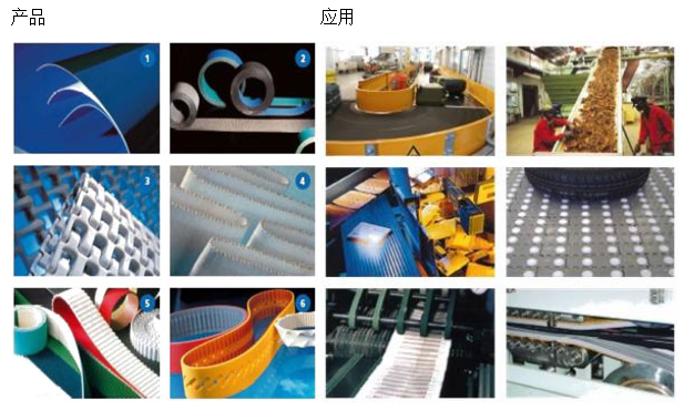 艾瑪拉皮帶.png 艾瑪拉皮帶.png